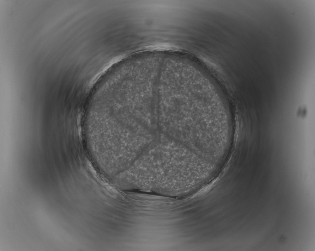 X0000112931305200910051122