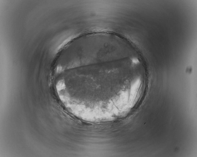 X0000112931306200910051122
