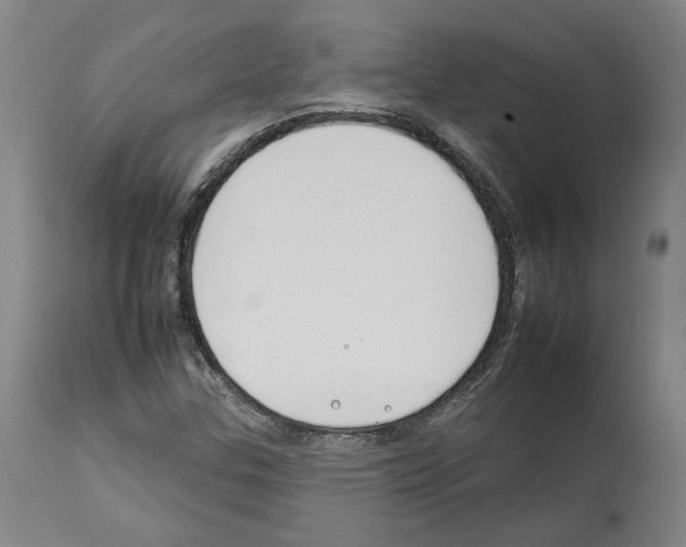 X0000112931307200910051122