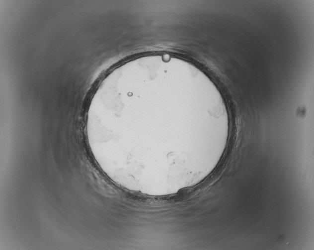 X0000112931308200910051122