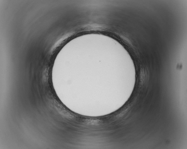 X0000112931309200910051122