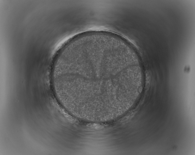 X0000112931311200910051122