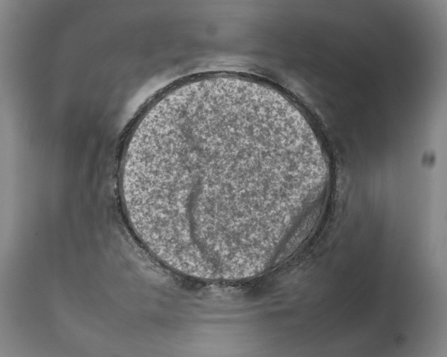 X0000112931312200910051122