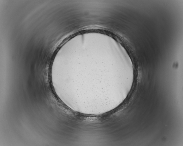 X0000112931313200910051122