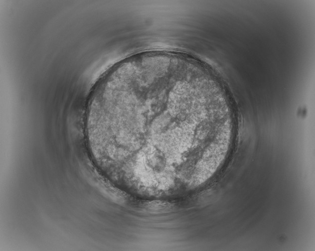 X0000112931314200910051122