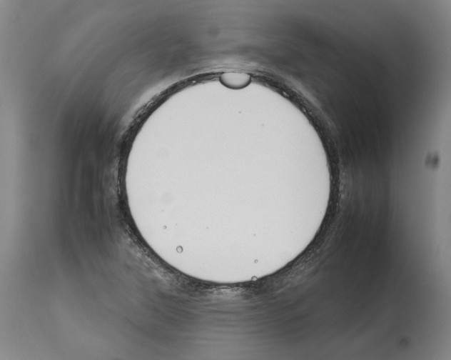 X0000112931315200910051122