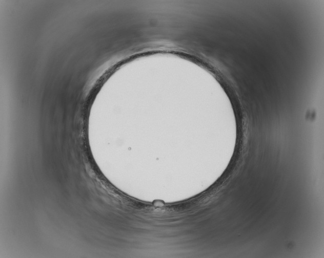 X0000112931318200910051122