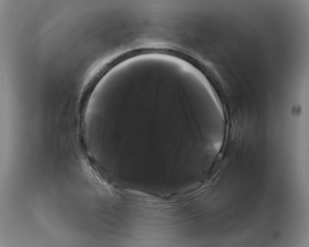 X0000112931319200910051122