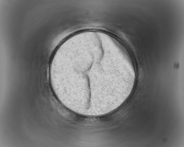 X0000112931320200910051122