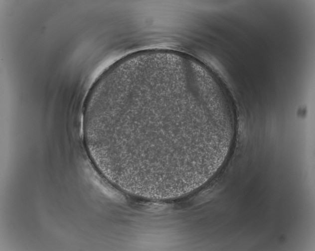 X0000112931324200910051122