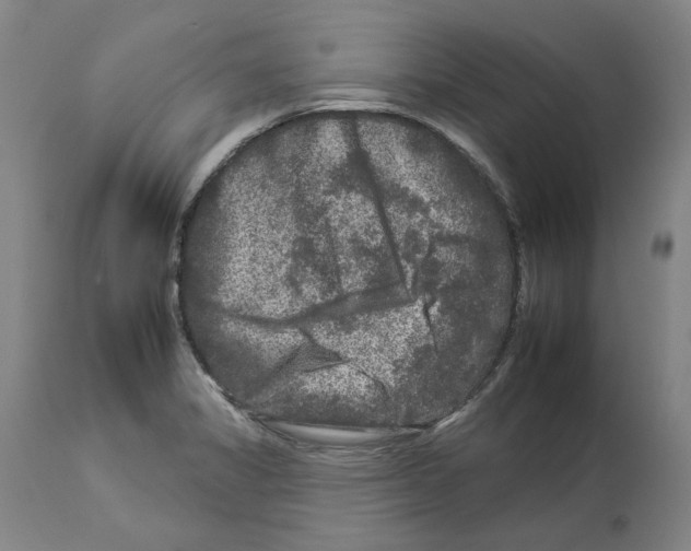 X0000112931325200910051122