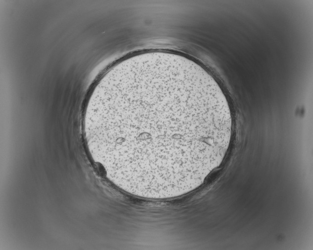 X0000112931328200910051122