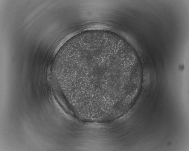 X0000112931329200910051122