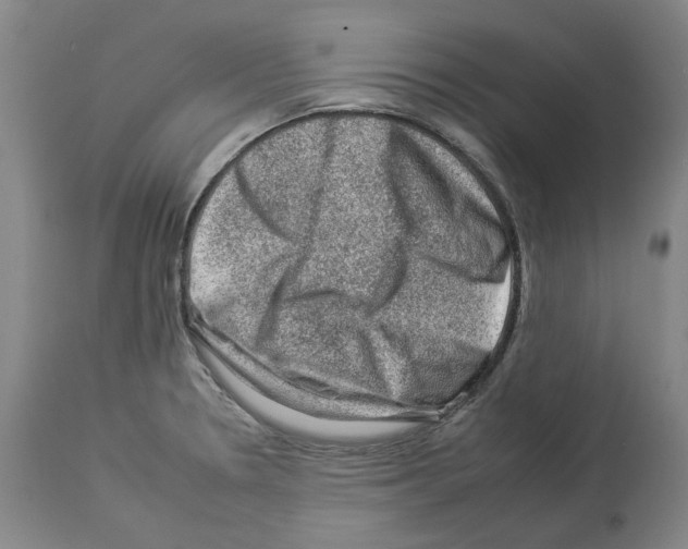 X0000112931330200910051122