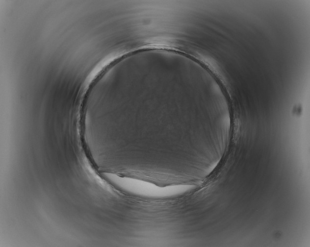 X0000112931331200910051122