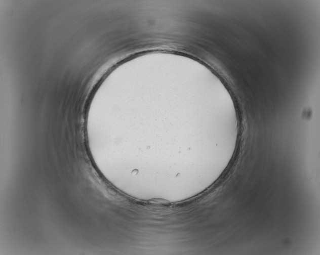 X0000112931332200910051122