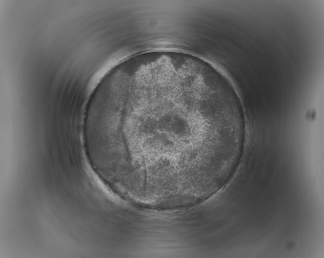 X0000112931333200910051122
