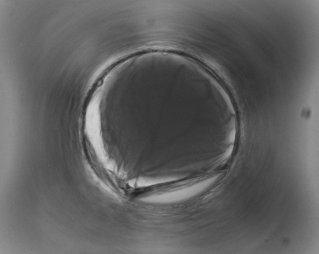 X0000112931334200910051122
