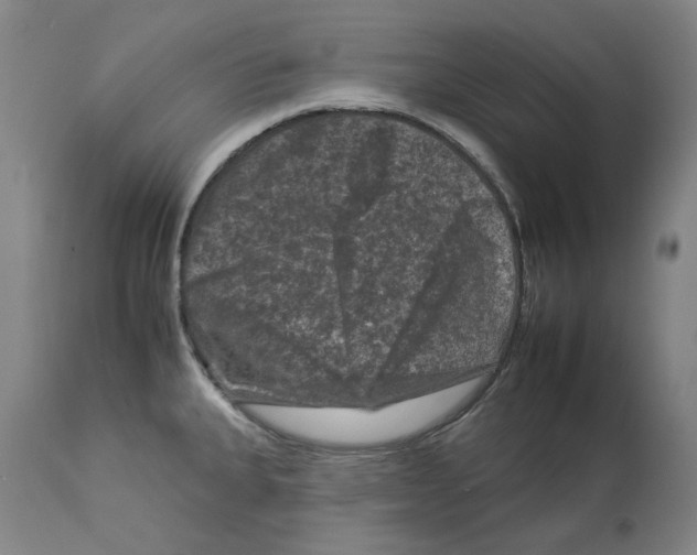 X0000112931335200910051122