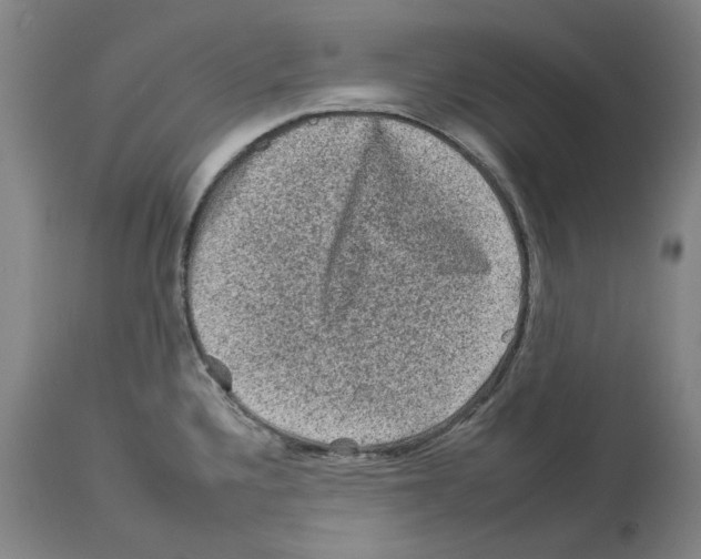 X0000112931336200910051122