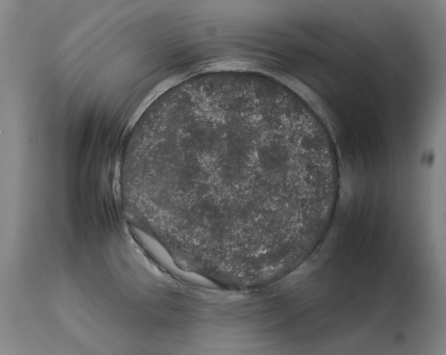 X0000112931337200910051122