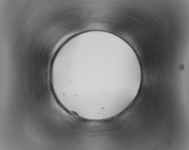 X0000112931339200910051123