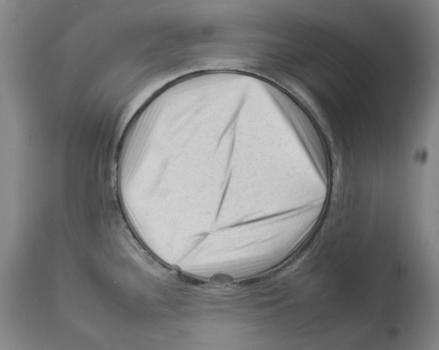 X0000112931340200910051123