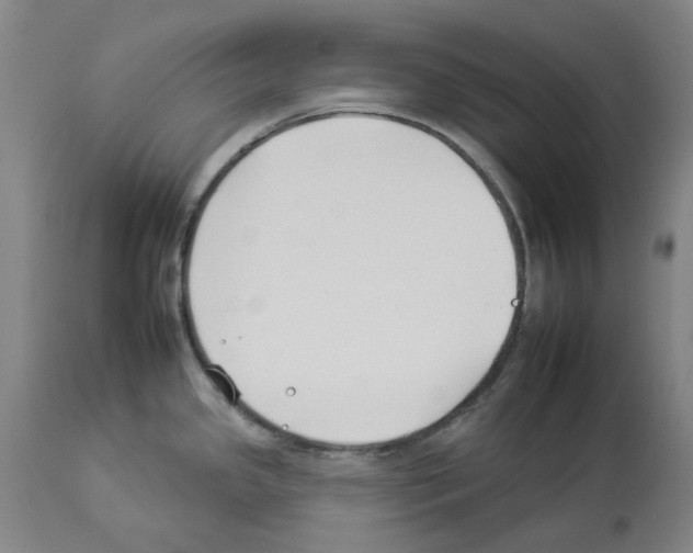 X0000112931341200910051123