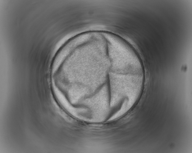 X0000112931342200910051123