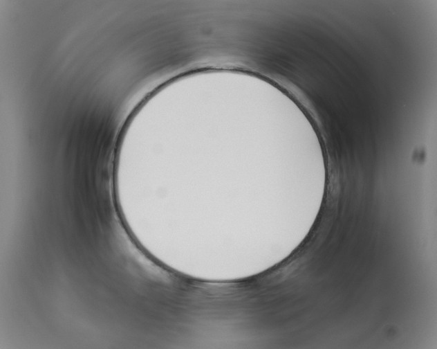 X0000112931343200910051123