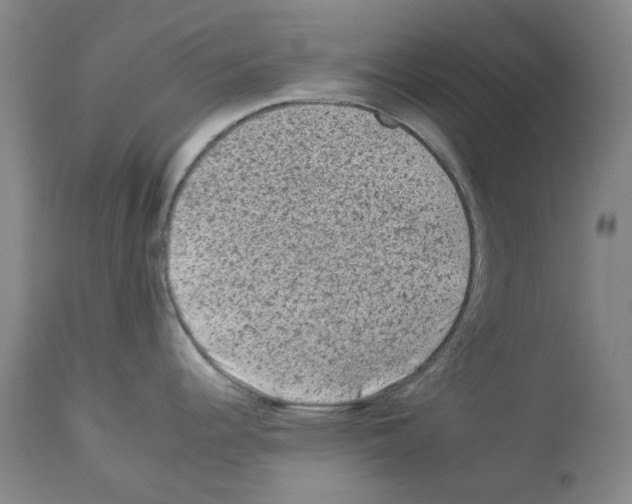 X0000112931344200910051123