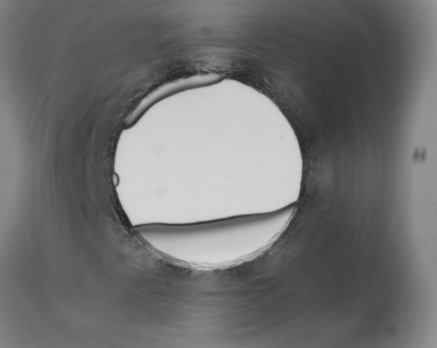 X0000112931345200910051122