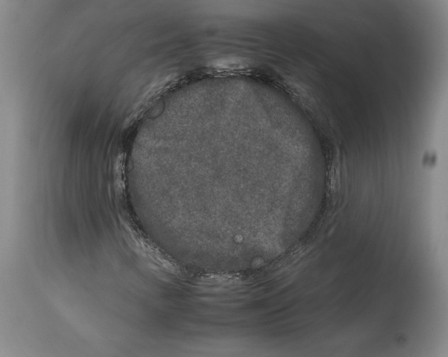 X0000112931346200910051122
