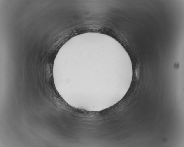 X0000112931347200910051122