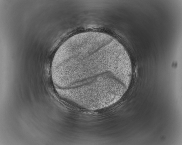 X0000112931348200910051122