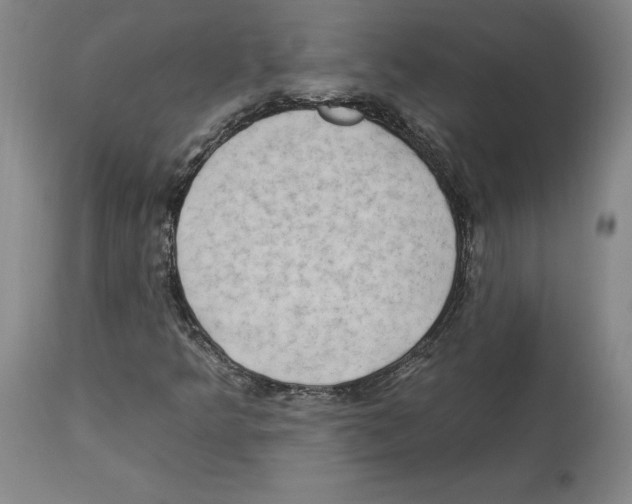 X0000112931349200910051122