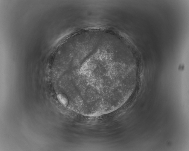 X0000112931350200910051122