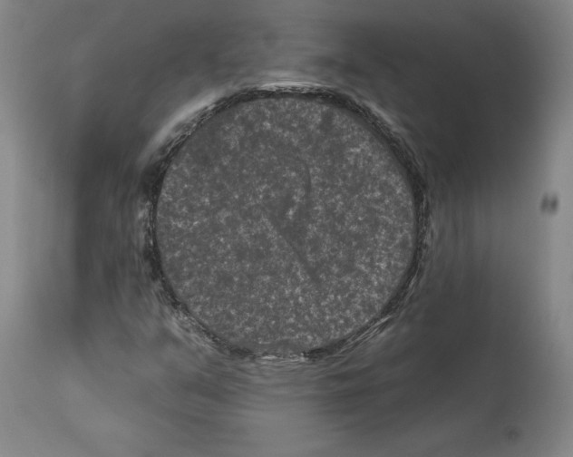 X0000112931351200910051122