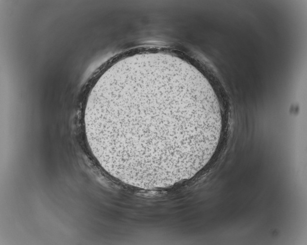X0000112931352200910051122