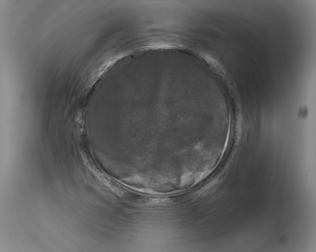 X0000112931353200910051122