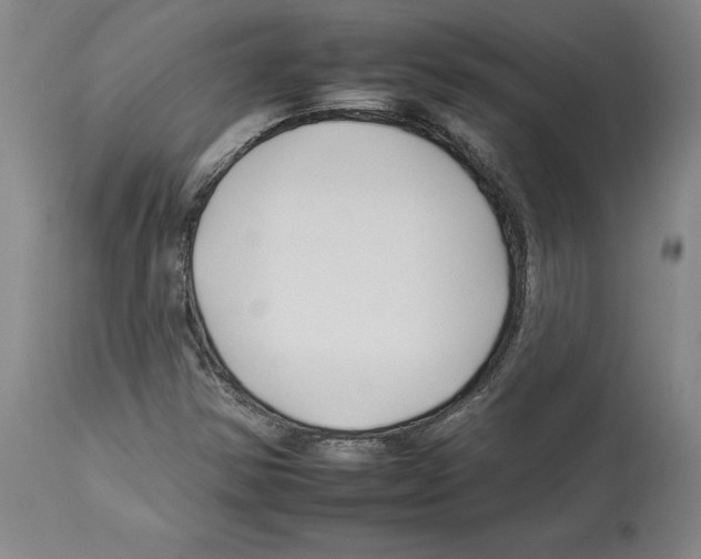 X0000112931354200910051122