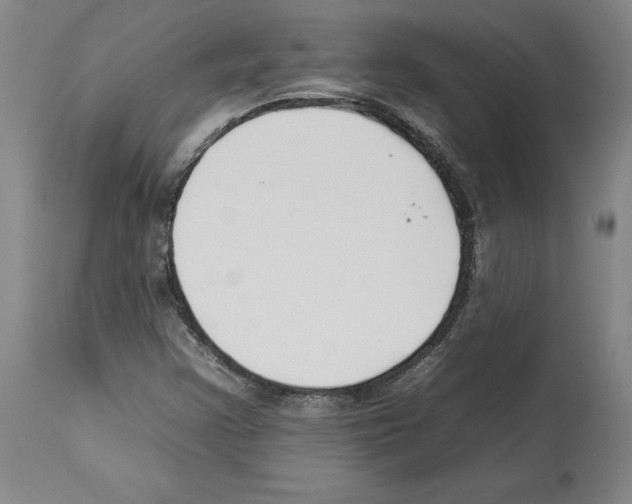 X0000112931355200910051122