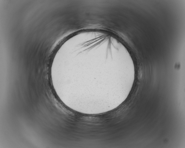 X0000112931356200910051122