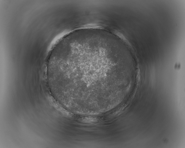 X0000112931358200910051122