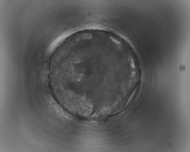 X0000112931359200910051122