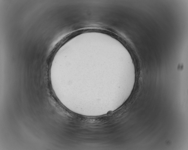 X0000112931360200910051122