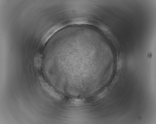 X0000112931361200910051122