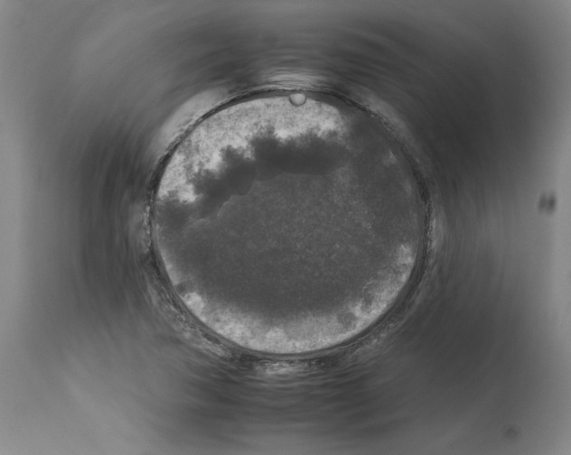 X0000112931362200910051122