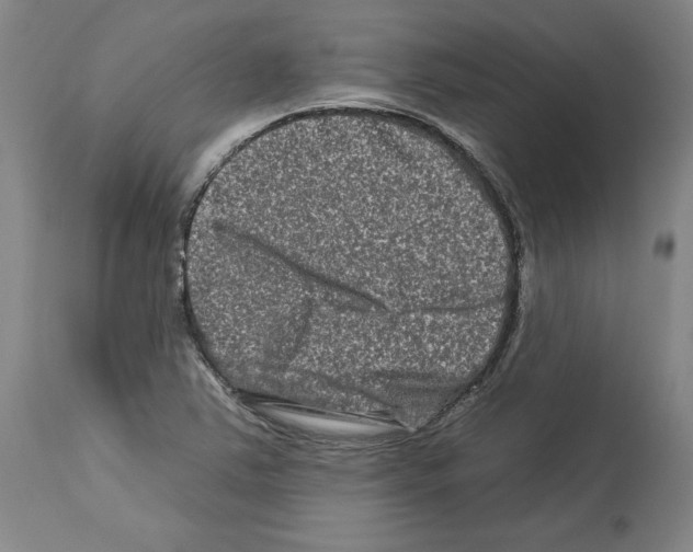 X0000112931363200910051122