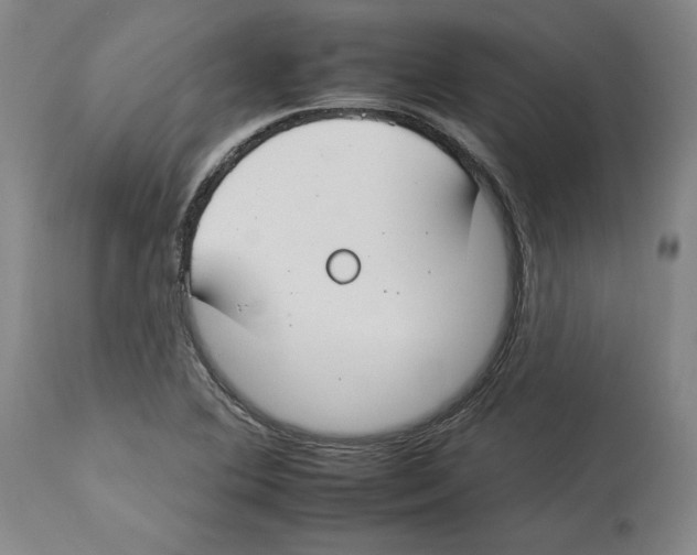 X0000112931364200910051122